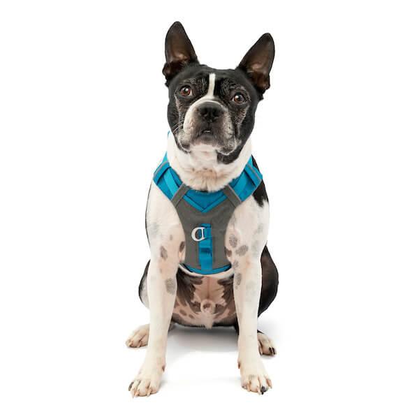 Kurgo Journey Air Harness Blau Gr. XS Kurgo Journey Air Harness Blau Gr. XS